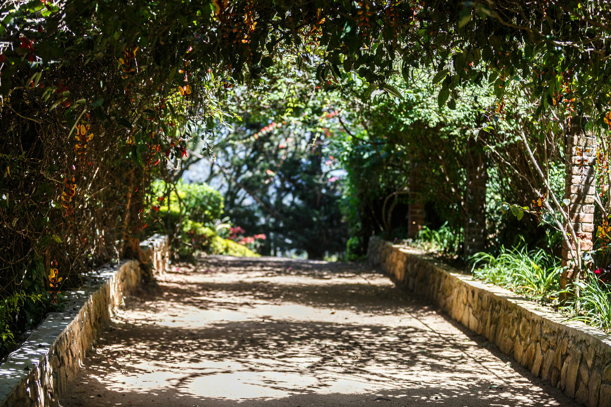 Dutch House Bandarawela Villa Exterior photo